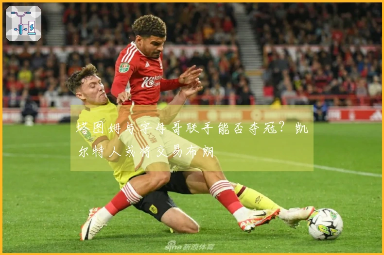 塔图姆与字母哥联手能否夺冠？凯尔特人或将交易布朗